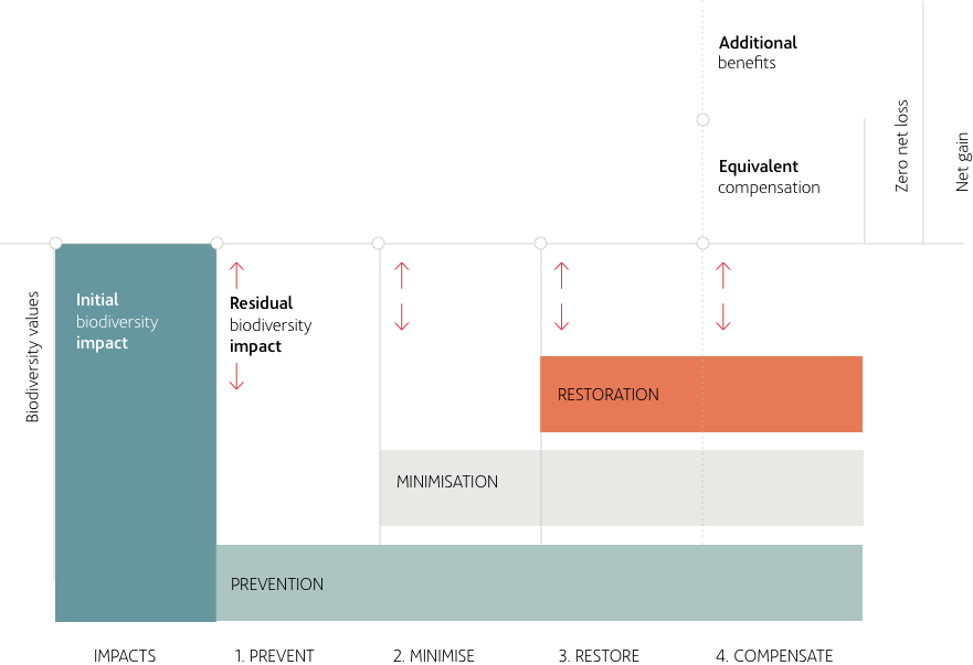 Esquema de jerarquía de mitigación